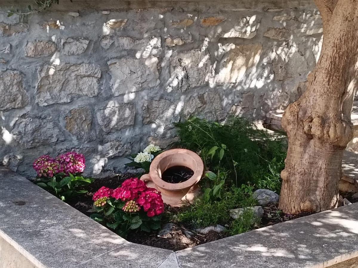 Diocletian Garden Centar Appartamento Spalato Esterno foto
